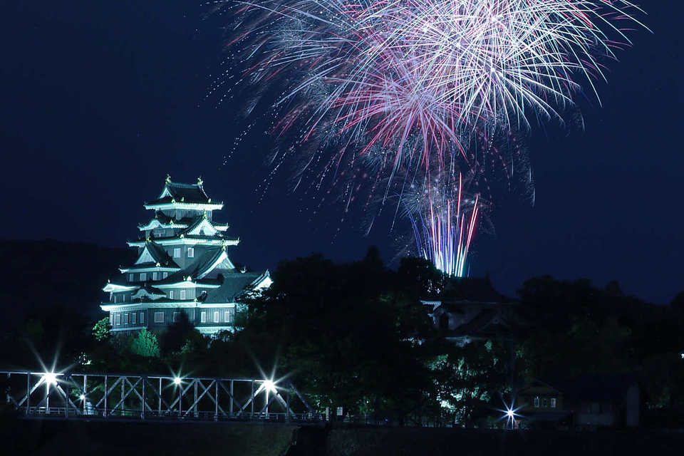 岡山城×花火の画像
