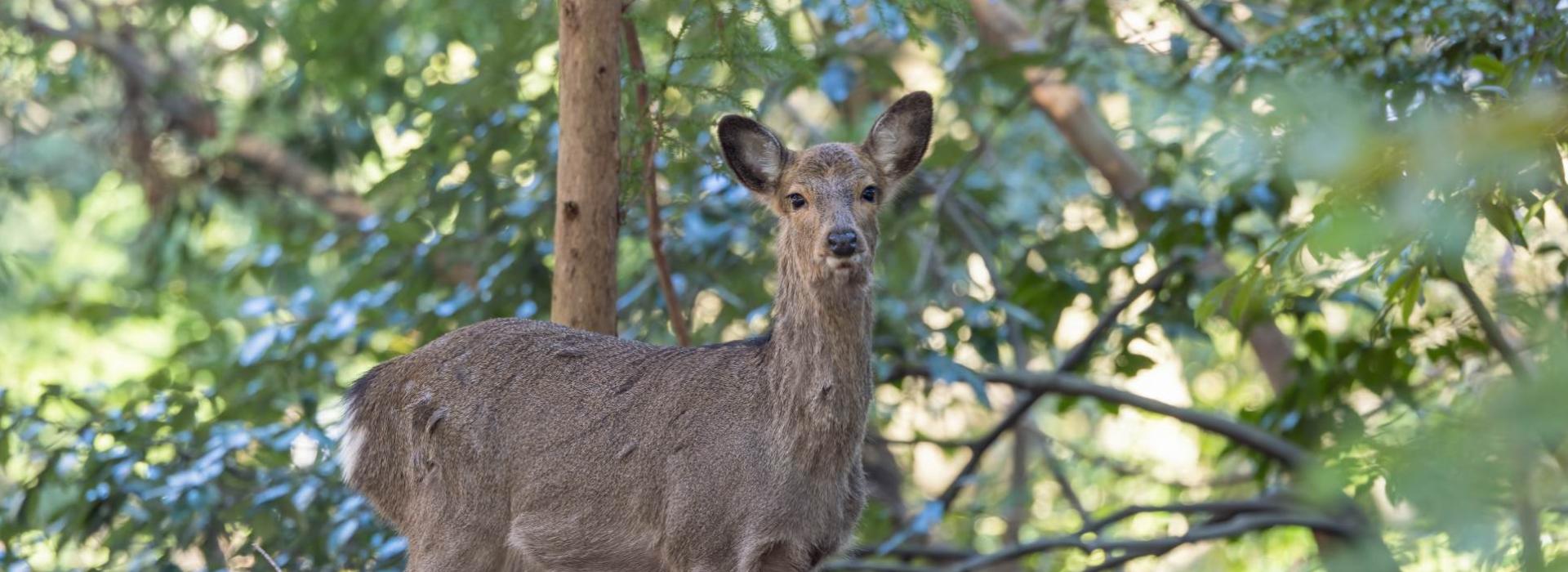 サブバナー背景画像